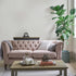 Laura Ashley Dove Grey White Matt Emulsion Paint