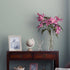 Laura Ashley Pale Duck Egg Matt Emulsion Paint