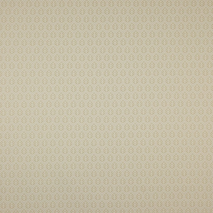 Jane Churchill Bambury Curtain Fabric