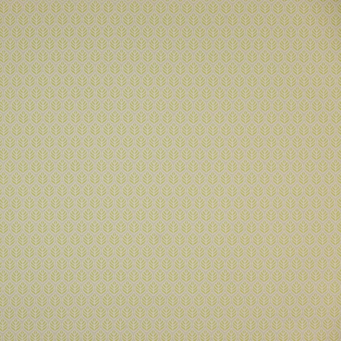 Jane Churchill Bambury Curtain Fabric