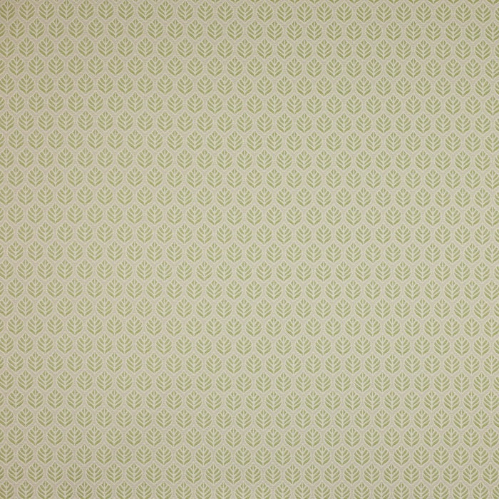 Jane Churchill Bambury Curtain Fabric